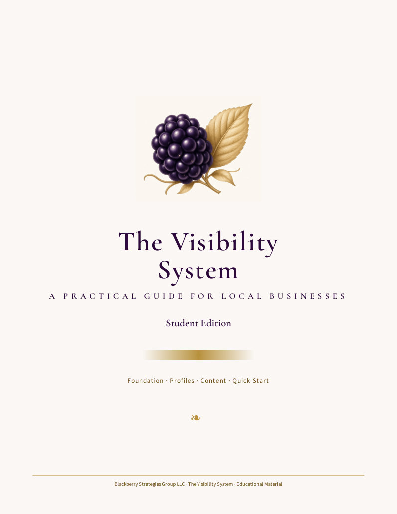 The Visibility System cover
